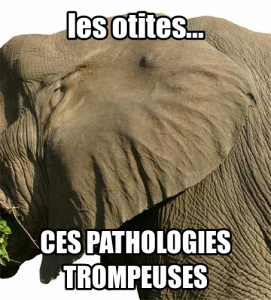 Et je m'y connais, j'ai fait un mémoire d'éléphant dessus. 